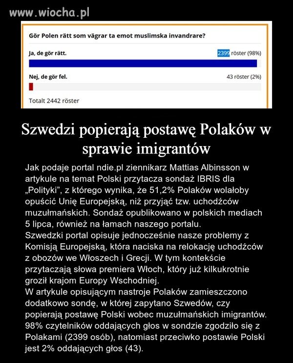 Uchodźcy nie są nam absolutnie do niczego potrzebni. 
