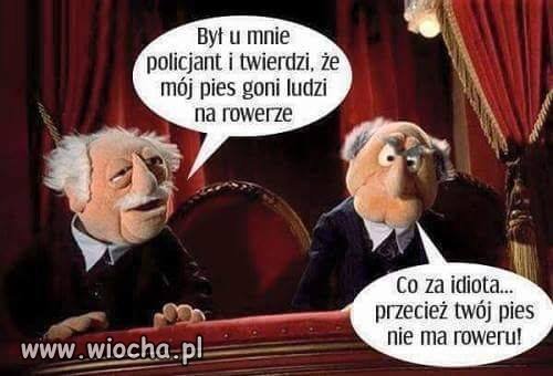 Z cyklu mądrości policji
