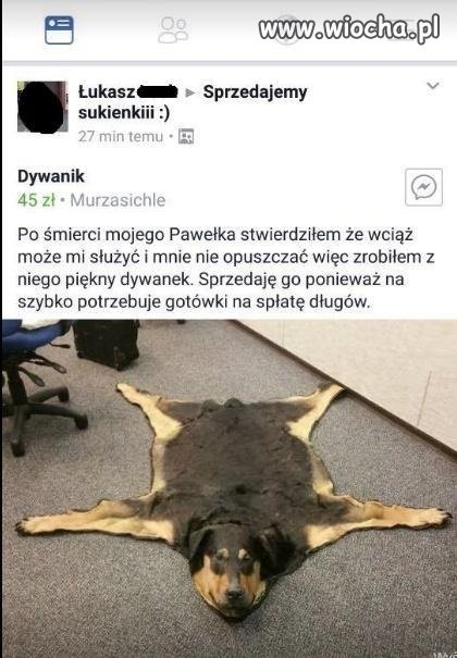 Sukienka