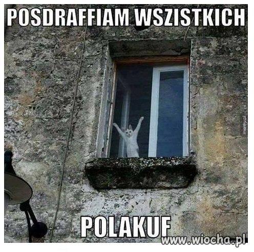 Myślałem,że to nastepca