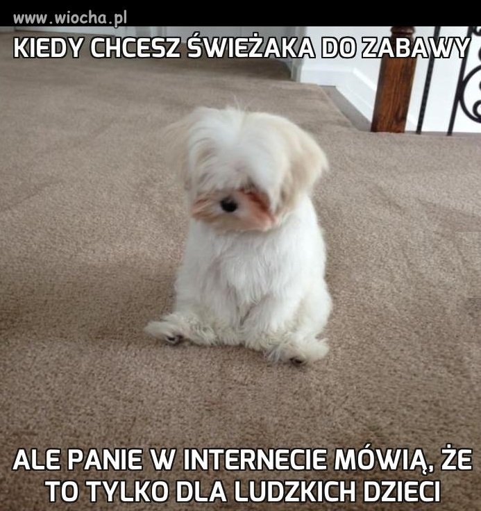 No i gdzie tu sprawiedliwość