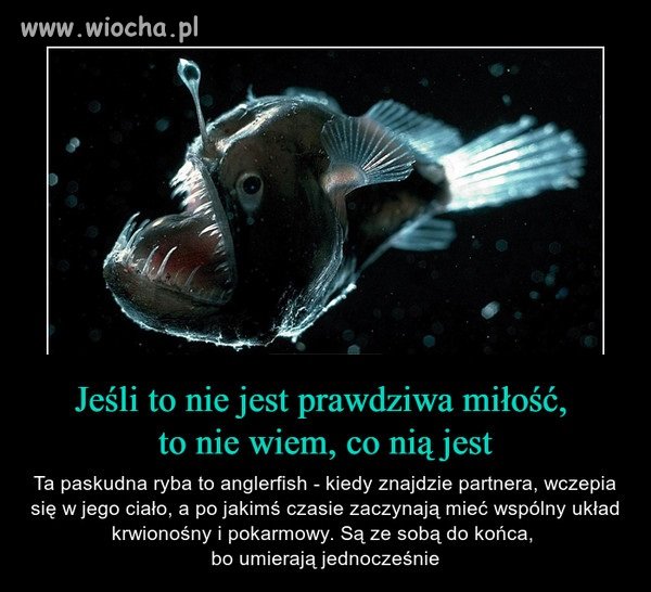 Prawdziwa miłość