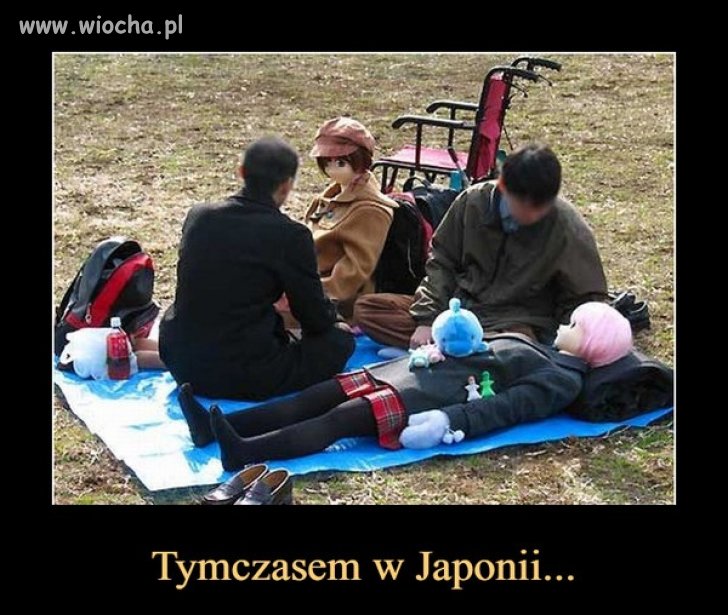 Piknik po japońsku