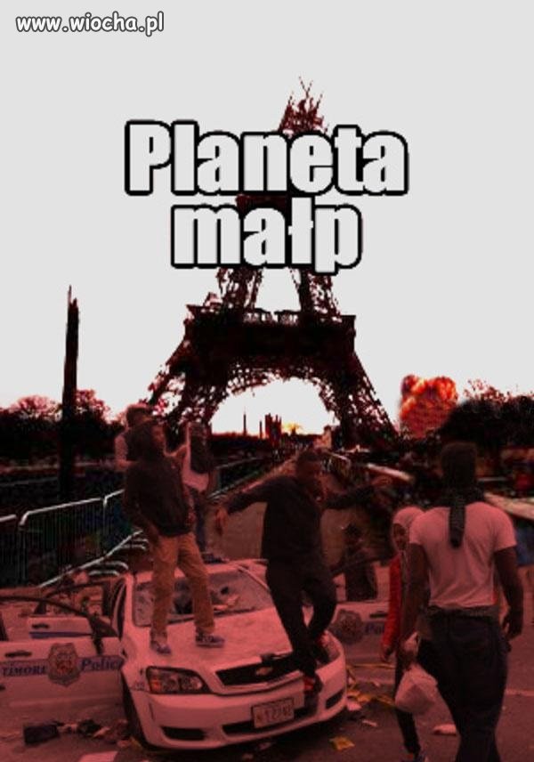 Planeta małp
