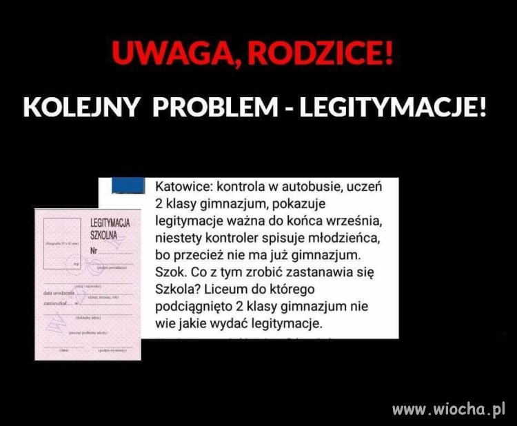 Kanary to chyba 