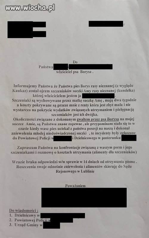 No to się nie wywinie