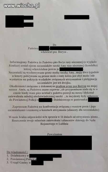 No to się nie wywinie