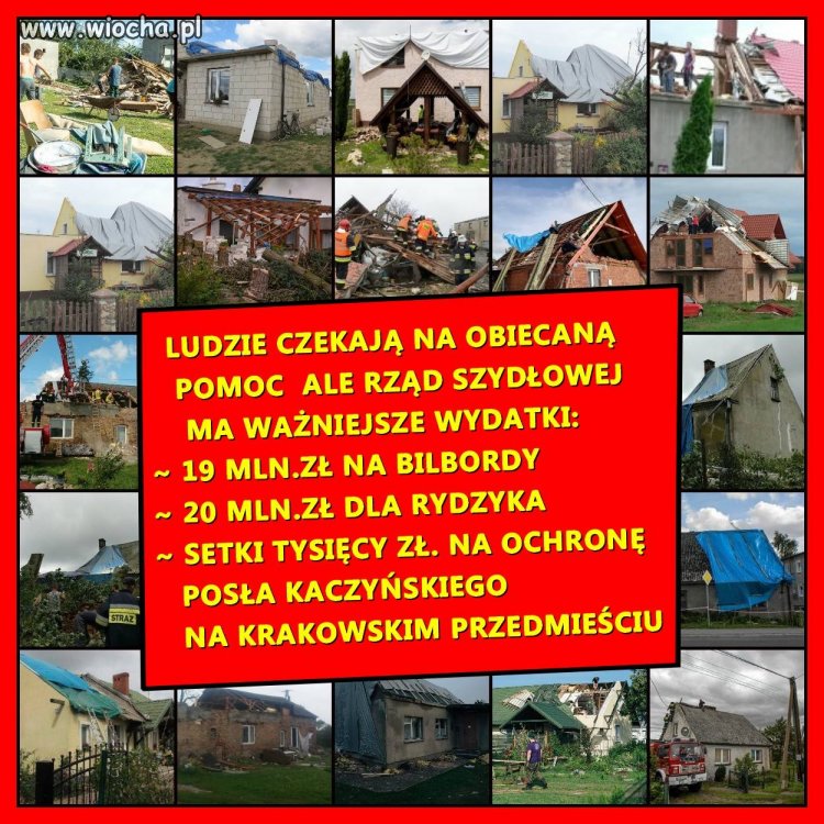 Bo są równi i równiejsi