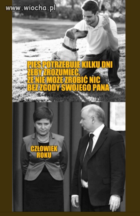 Pies potrzebuje kilku dni