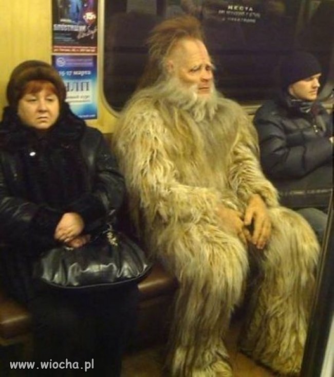 Yeti