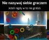 Nie nazywaj siebie graczem