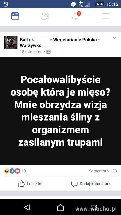 Przemyślenia wegan