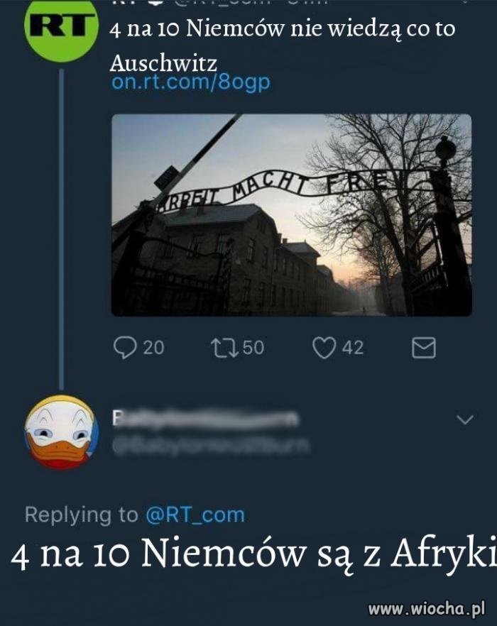Ah ci Niemcy Afrykanie
