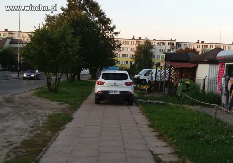 Mistrz parkowania