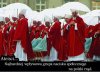 Tyle Jarków