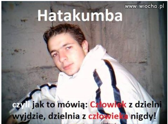 Hmmm Jaki z niego