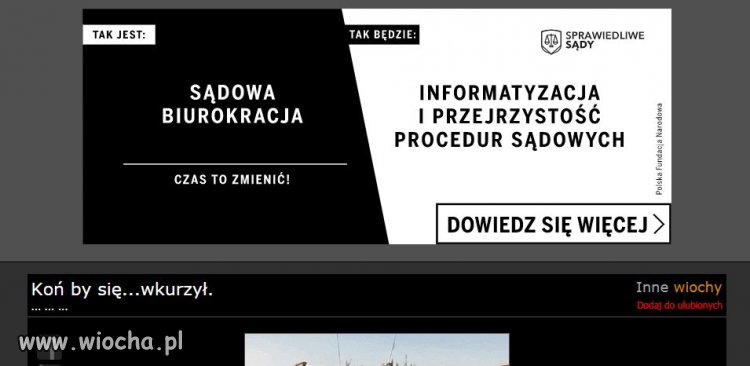 Wiocha dla wiochy