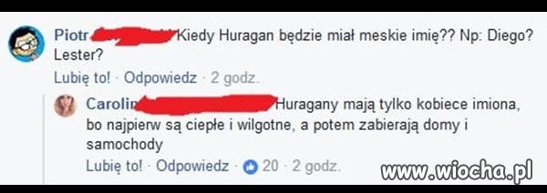 Coś w tym jest