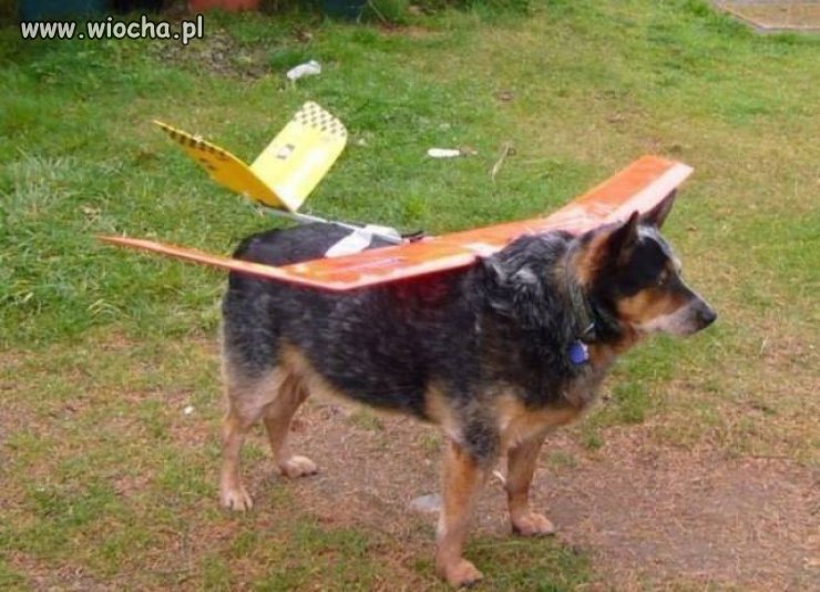 Nowy dron zwiadowczy