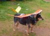 Nowy dron zwiadowczy