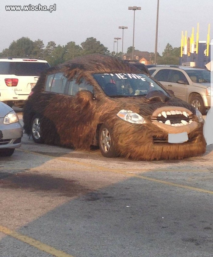 Chewie na czterech kółkach