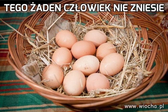 Nie do wytrzymania