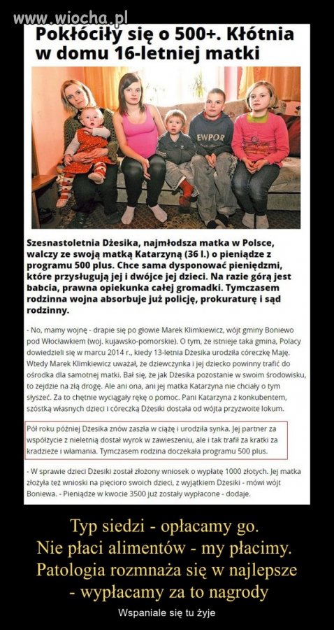 Dżesika - ikona programu 500 plus