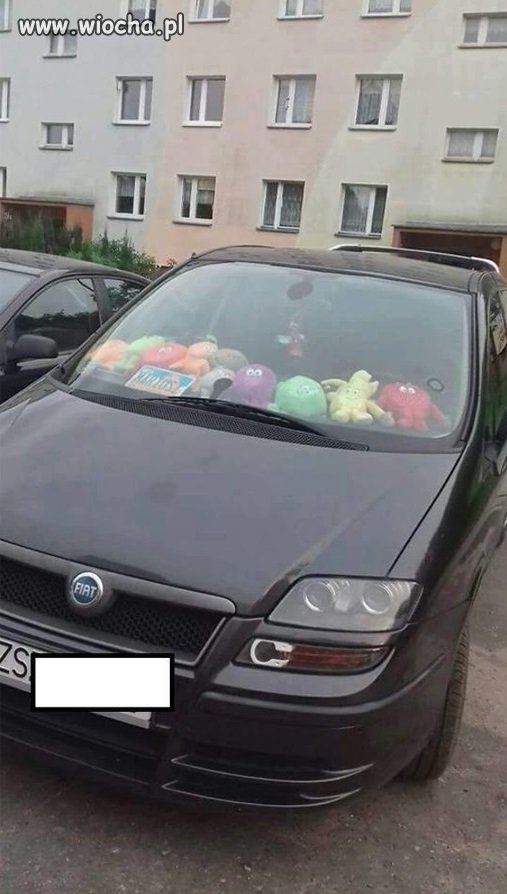 Patrząc na to co się dzieje