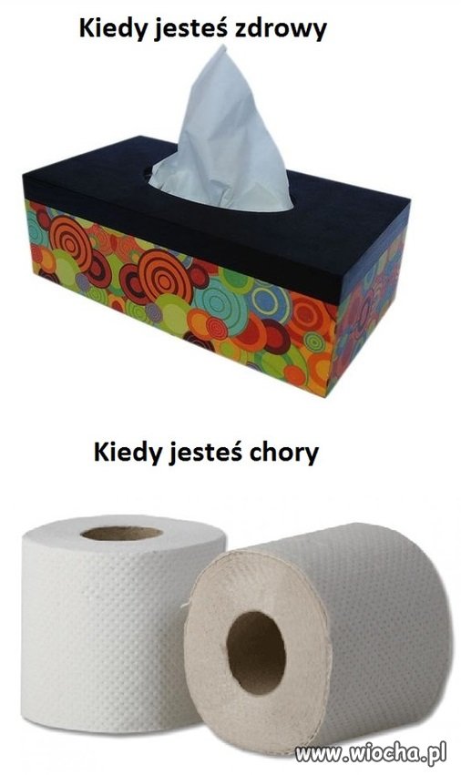 Coś w tym jest