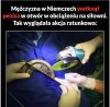Jak by nie Polki w Niemczech to...