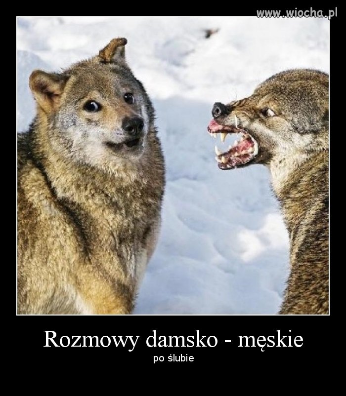 Są i takie sytuacje