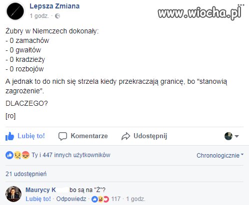 Kiedy polski żubr przekracza niemiecką granicę