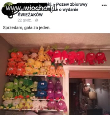 Sprzedam świeżaki