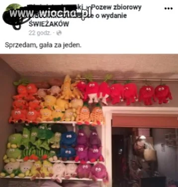 Sprzedam świeżaki