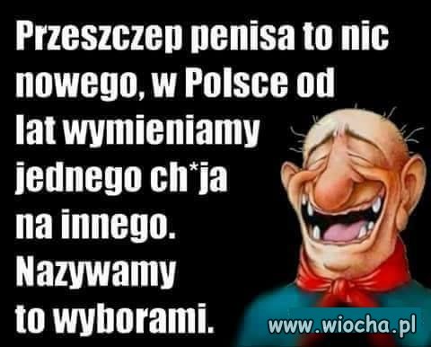 Przeszczepy