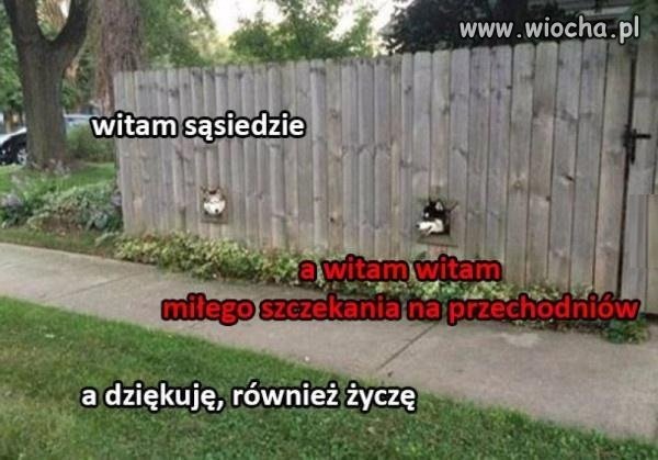 Sąsiedzi