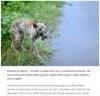 Najlepszy przyjaciel człowieka