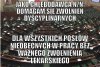 Jak najbardziej