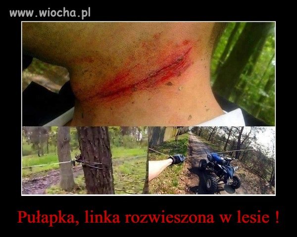 Według mnie to czysta ludzka głupota