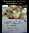 Grunt to dobry opis.
