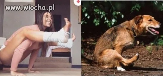 Jak laska ćwiczy