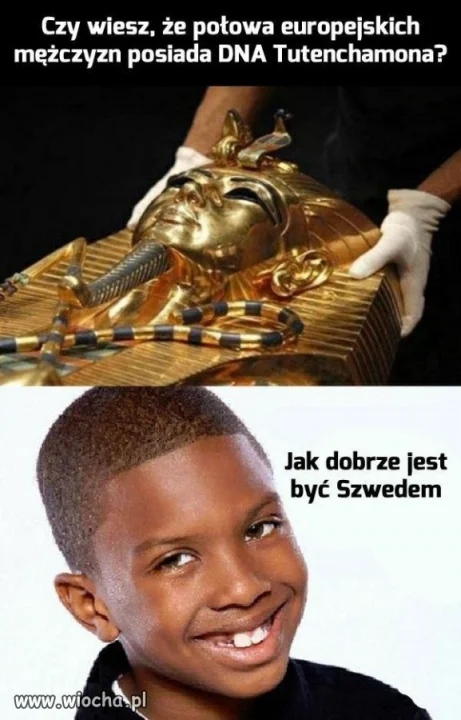 Rodowity Szwed