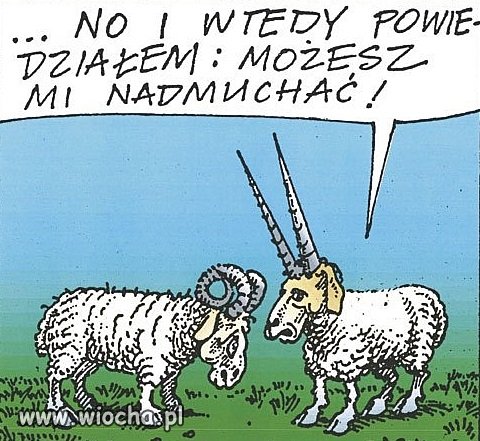 Kiedy słowa