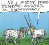 Kiedy słowa