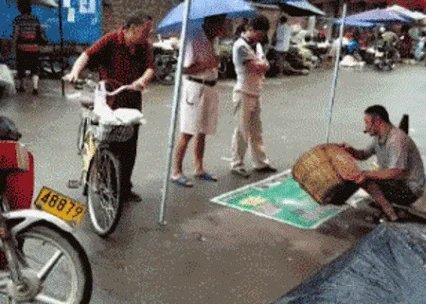 WTF ???