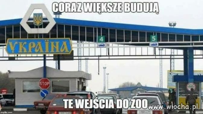 Zoo  