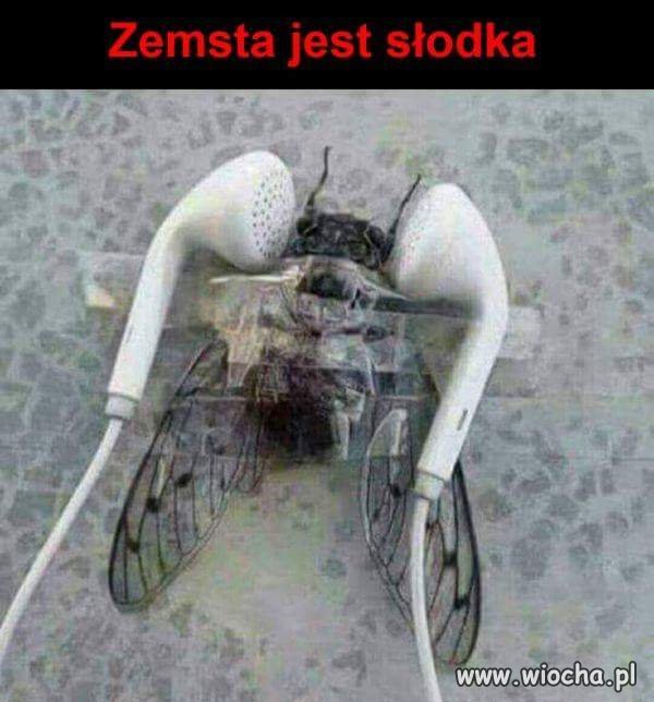 Zemsta!