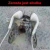 Zemsta!
