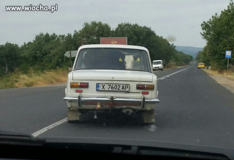 Ha ha ha...