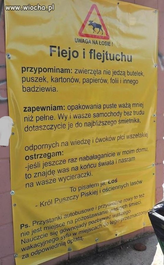 Zdenerwowali Łosia